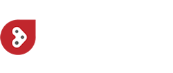 LITE-wire Automotive Systems logo